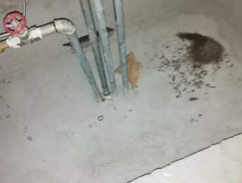 大连卫生间测漏水价格明细